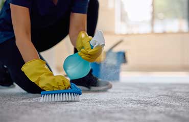 Carpet Care